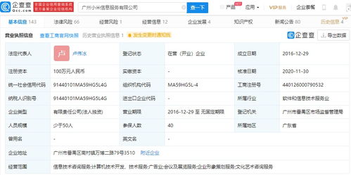 小米高層調整 王川退出廣州信息服務公司，盧偉冰接任，強化信息技術咨詢業務布局